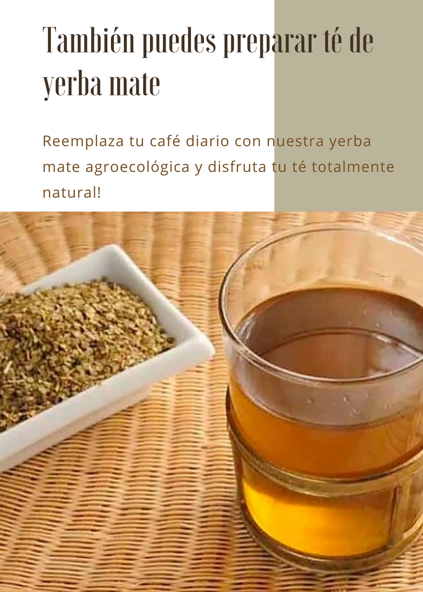 Grapia Milenaria - Conoce sobre la Yerba Mate - Image 10